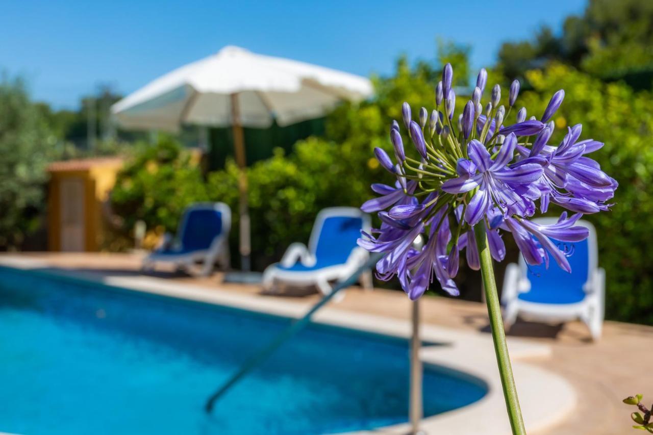 S'Oratge Villa Can Picafort  Ngoại thất bức ảnh